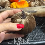 Sametová tekvička hnedá