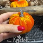 Sametová tekvička oranž