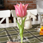 Tulipán pink