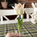 Tulipán biely