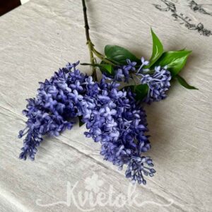 orgován-vyberte si farbu - Orgován fialový