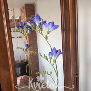 Frézia 99cm - Frézia fialová