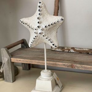 dekorácia morská hviezdica v32 cm