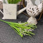 Jarná kytička fialková